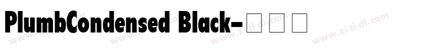 PlumbCondensed Black字体转换